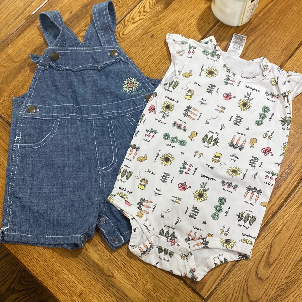 EUC Carhartt 2 piece set
